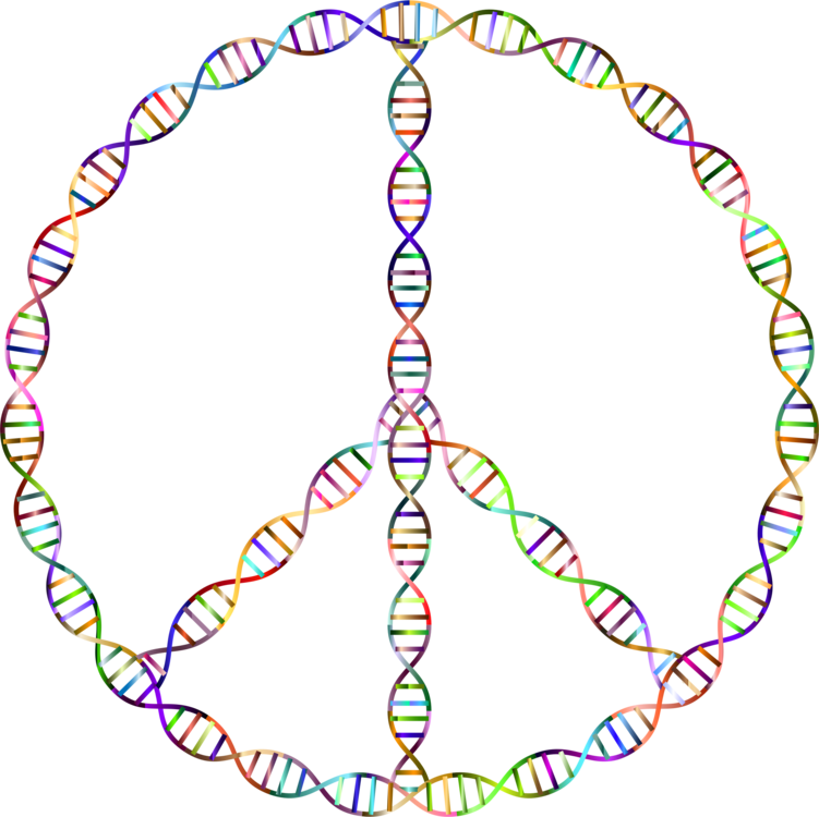 Dna Computer Icons Nucleic Acid Double Helix Genetics - Dna (751x750), Png Download