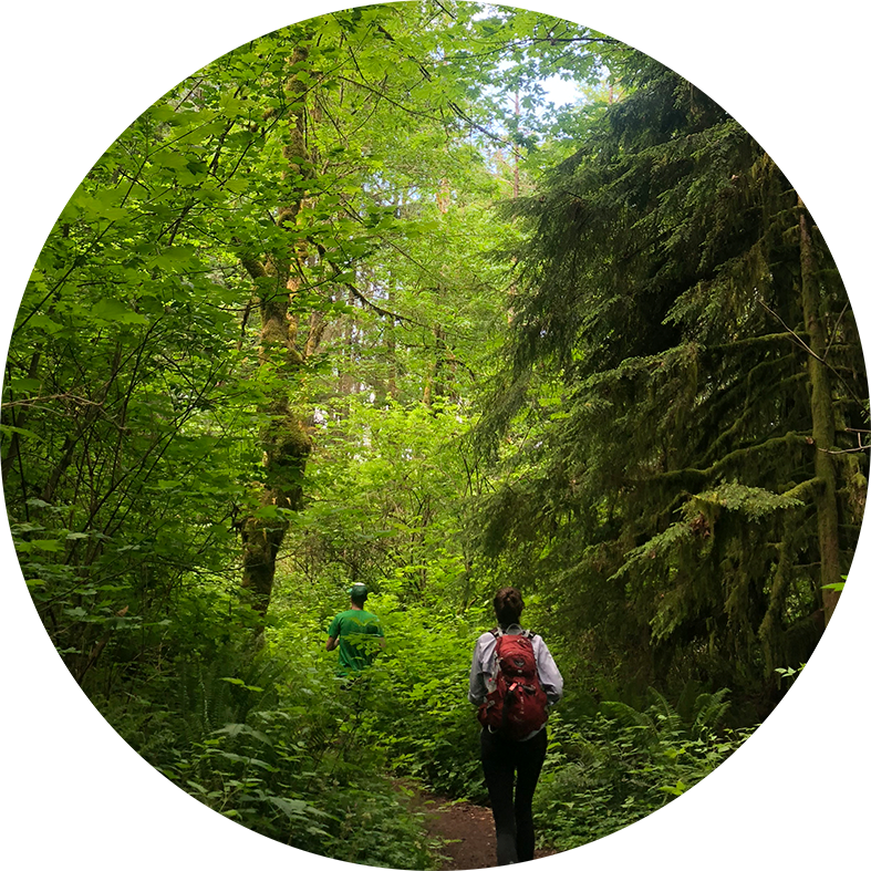 Forrest - Portable Network Graphics (787x787), Png Download