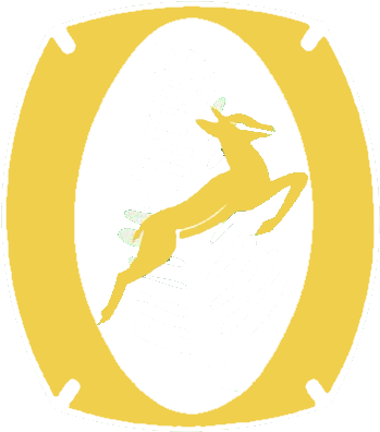 Nz Cavaliers Logo - Circulo (420x434), Png Download