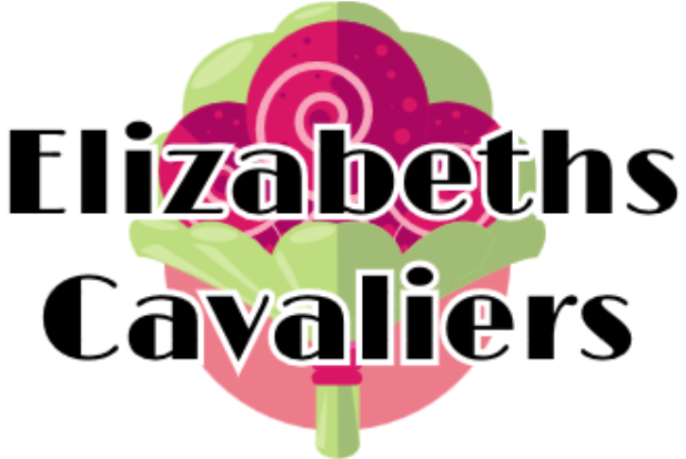 Pets 4 You - Cavalier King Charles Spaniel (1050x413), Png Download