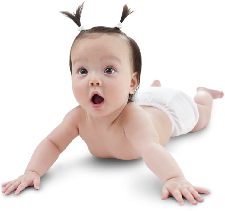 Baby - Arshiner Baby Toy Pop Up Animals Educational Early (800x800), Png Download