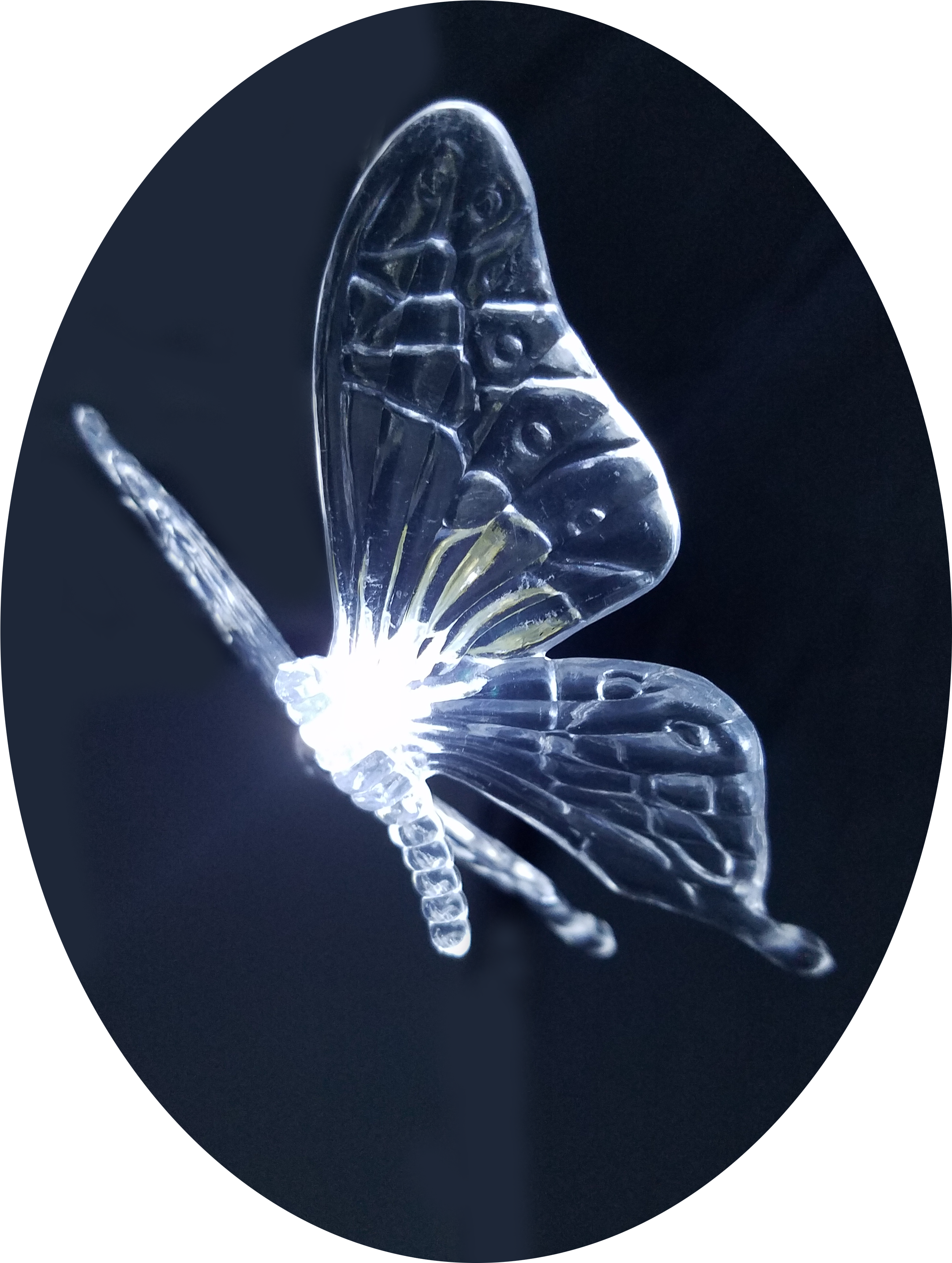 Fairy Butterfly 12 X White Colour Led String Lights - Vv Hoogland (2676x3576), Png Download