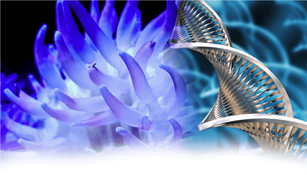 Thursday - Biotechnology Lactose Free Milk (1240x1181), Png Download