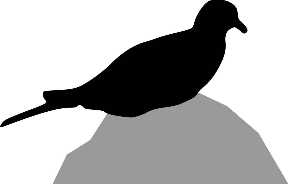 Columbidae Bird Mourning Dove European Turtle Dove - ภาพ เงา สัตว์ กราฟฟิก (1172x750), Png Download