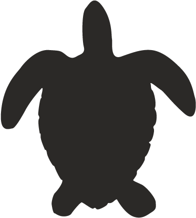 14733186423 Sea Animals 03 - Kemp's Ridley Sea Turtle (612x792), Png Download