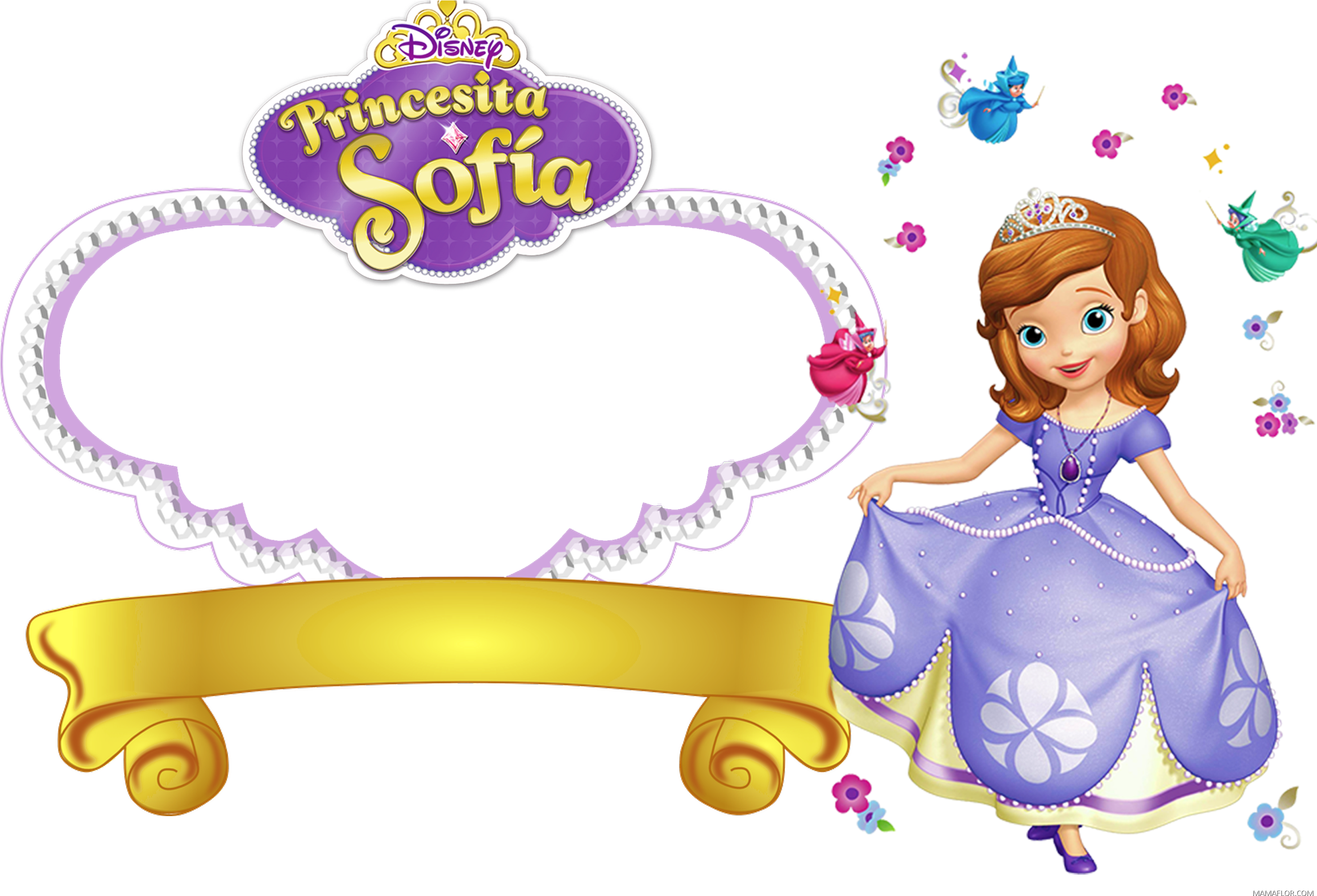 Visit - Princesita Sofia / Various - Cd (3000x2025), Png Download