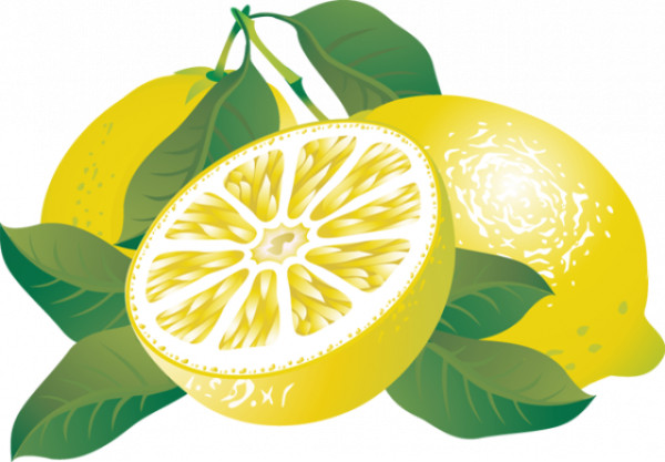 Photo And Graphics T Ng H P - Clipart Lemon (600x417), Png Download