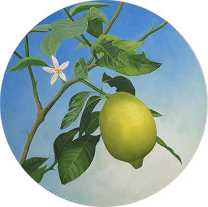 Limonero - Oil Painting (410x409), Png Download