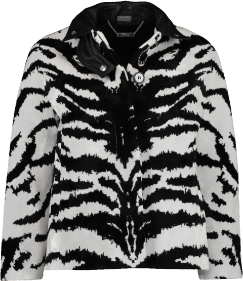 Cropped Zebra Print Jacket - Coat (480x612), Png Download