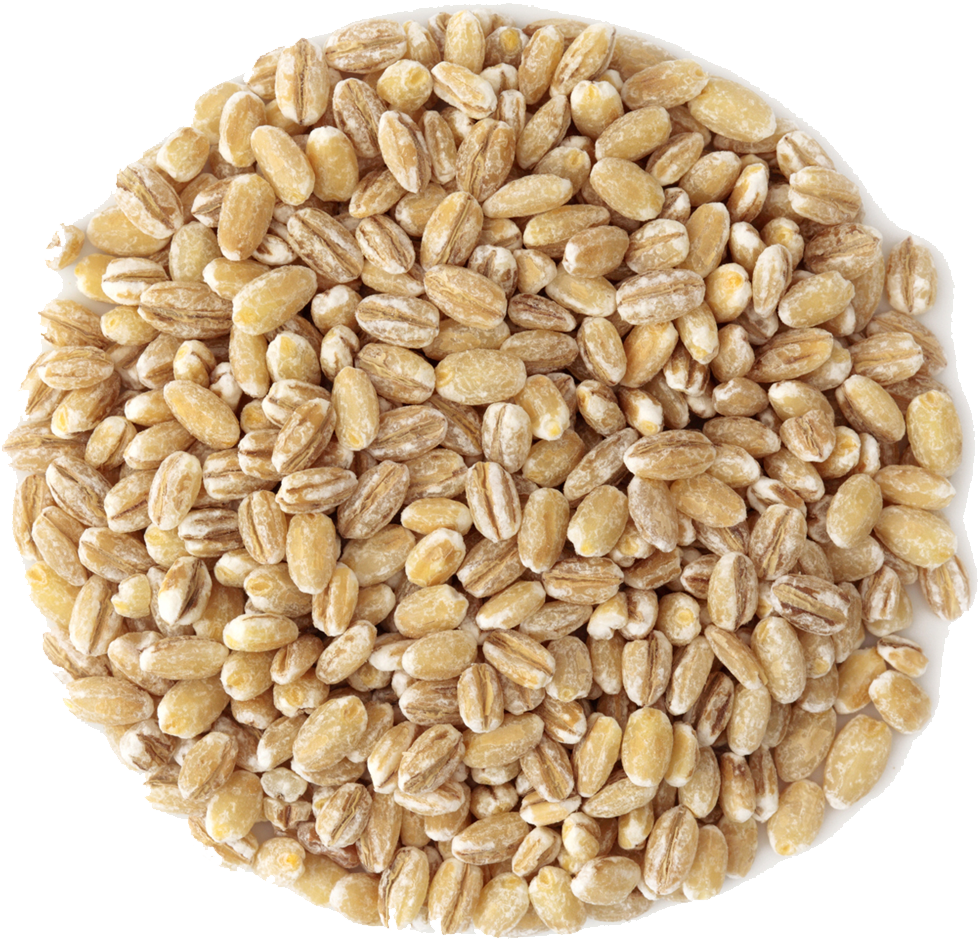 download small pile of grain barley grains png image with no background pngkey com small pile of grain barley grains png