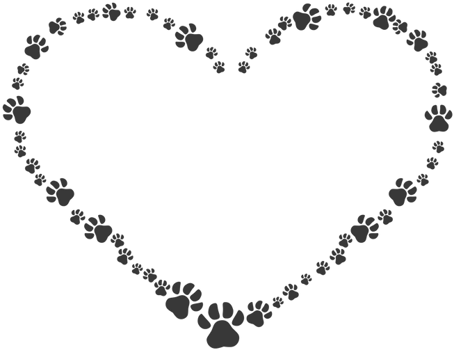 Your Fur Baby - Pet Sympathy (800x800), Png Download