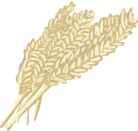 File - Barley - Wiki (480x480), Png Download