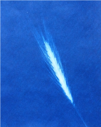 I - Sea (500x500), Png Download