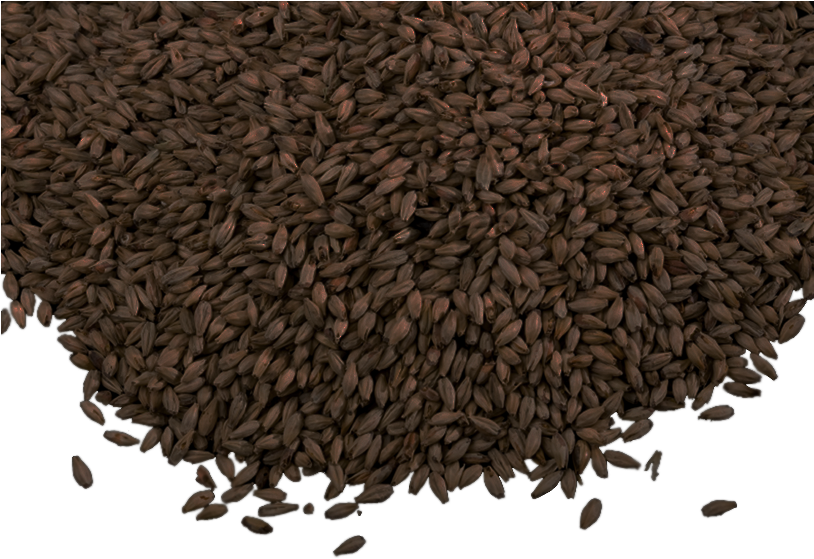 Briess Roasted Barley 1 Oz - Malt (813x623), Png Download