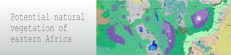 Header - East Africa (960x229), Png Download