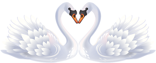 Valentine Swans Png Clipart - Heart Swan Clipart (600x248), Png Download