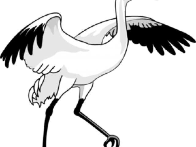 Swan Clipart Standing - Whooping Crane Clip Art (640x480), Png Download