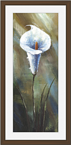 Picture Frame (500x500), Png Download