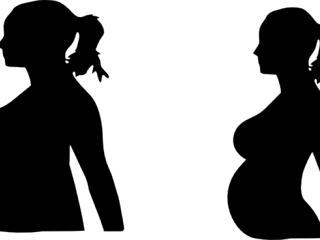 Pregnant Clip Art (640x480), Png Download