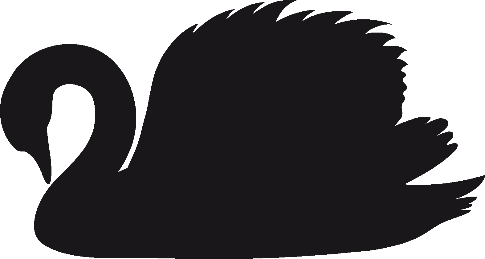 Download - Black And White Swan Png (1574x843), Png Download