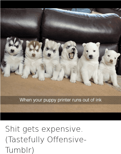 Animals, Dogs, And Funny Jokes - Day They Still Dont Know Im A Dog (500x653), Png Download