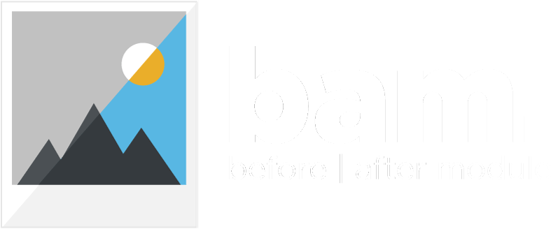 Bam - Plug-in (800x334), Png Download