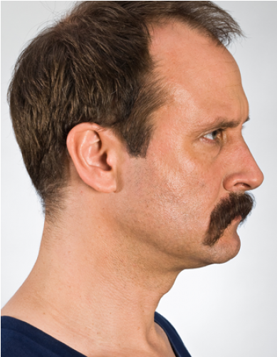 Straight Full Beard (500x500), Png Download