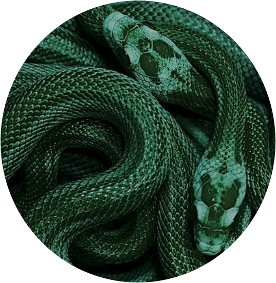 Green Snake Aestheticcircle Circle - Dark Green Aesthetic Snake (537x552), Png Download