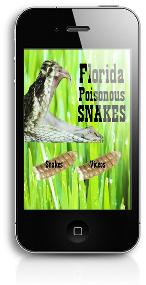 Florida Poisonous Snake App - Smartphone (535x571), Png Download