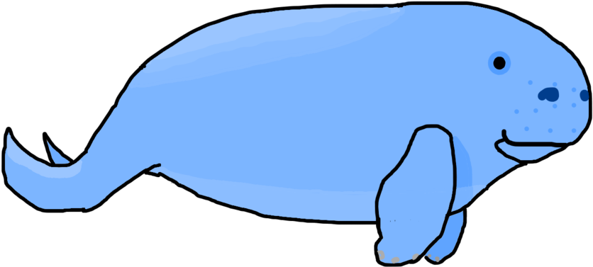 Manatee Drawing Dugong - Drawing (1032x774), Png Download