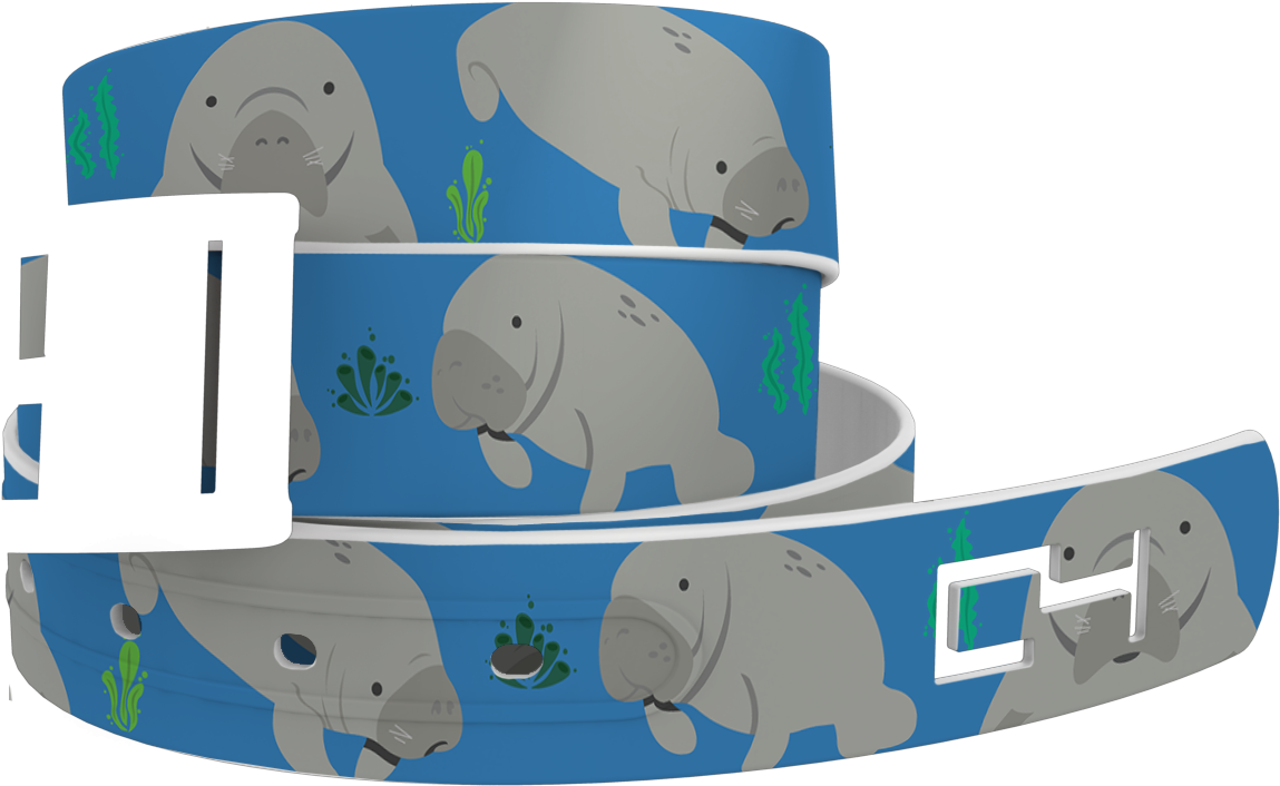 Manatee Clipart Top Hat - Belt (1920x1078), Png Download