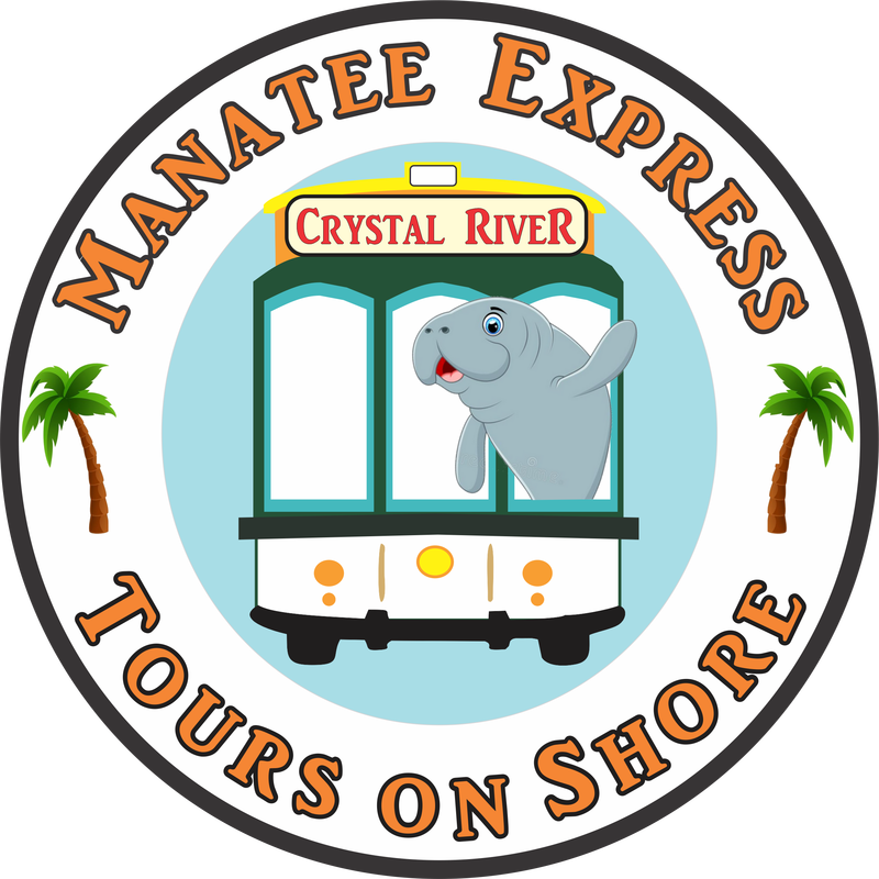 Funniest Manatee In Town Explore Beautiful, Historic - Fake Notary Stamp Florida (800x800), Png Download