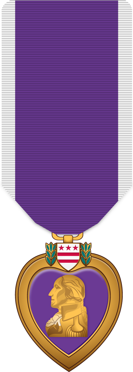 Marine Corps Medals, Navy Medals, Army Medals, Air - Purple Heart Medal Clipart (504x1422), Png Download