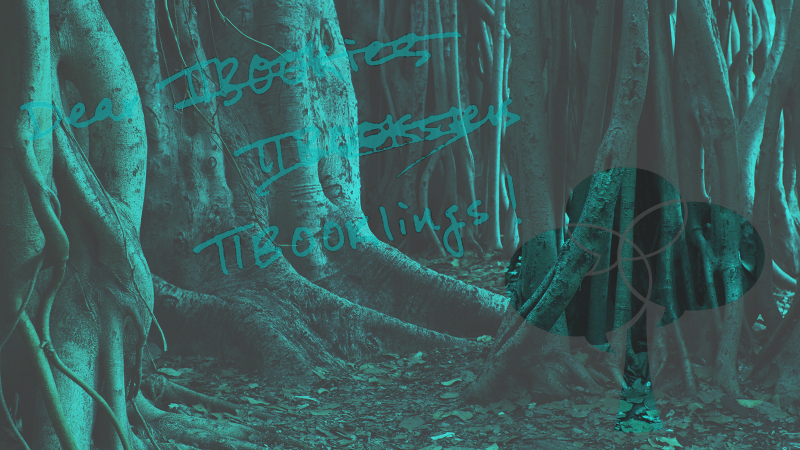 Search Form - В Оливковых Тонах. Роман [book] (800x450), Png Download