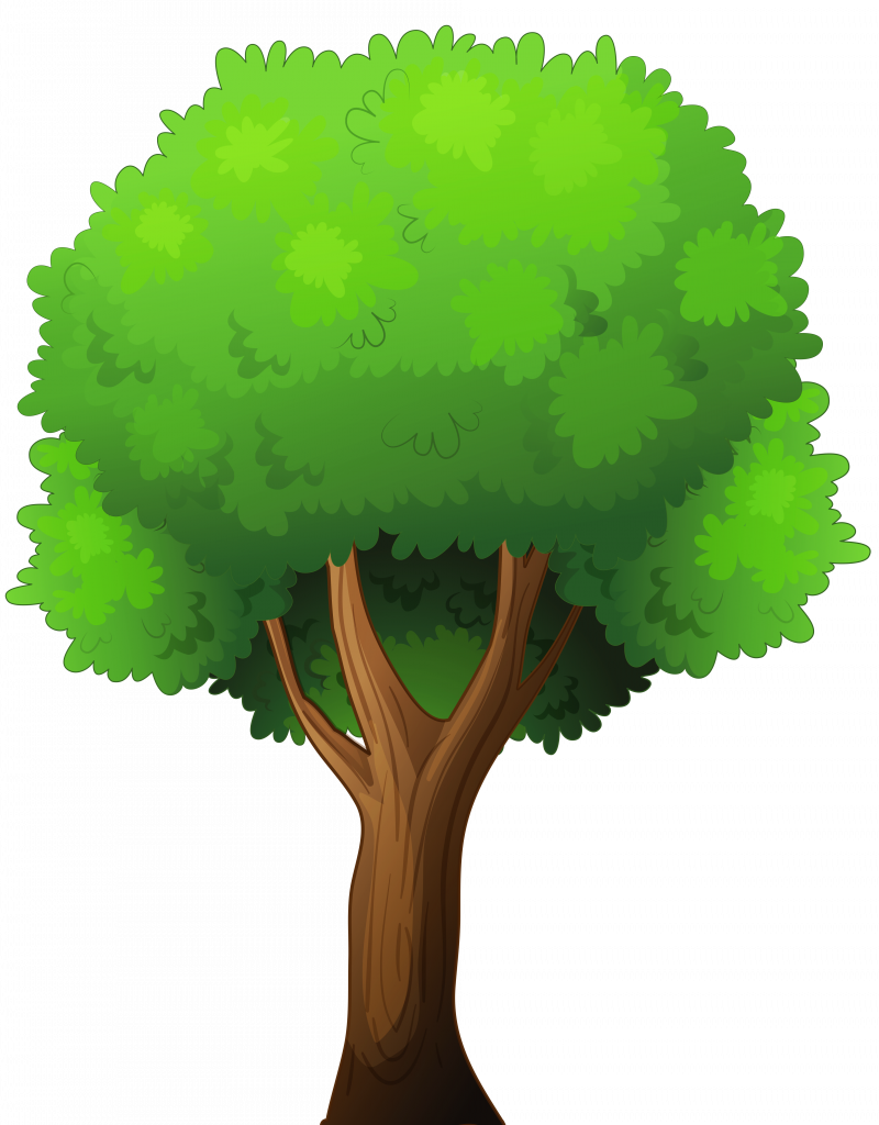 Huge Gift Clipart Images Of Trees Tree Png Clip Art - Tree Png (800x1024), Png Download