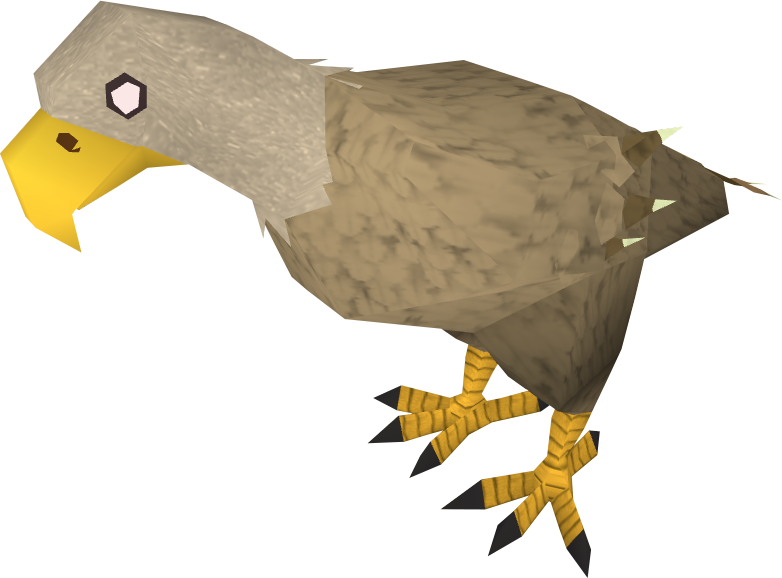Eagle In The Desert (782x578), Png Download