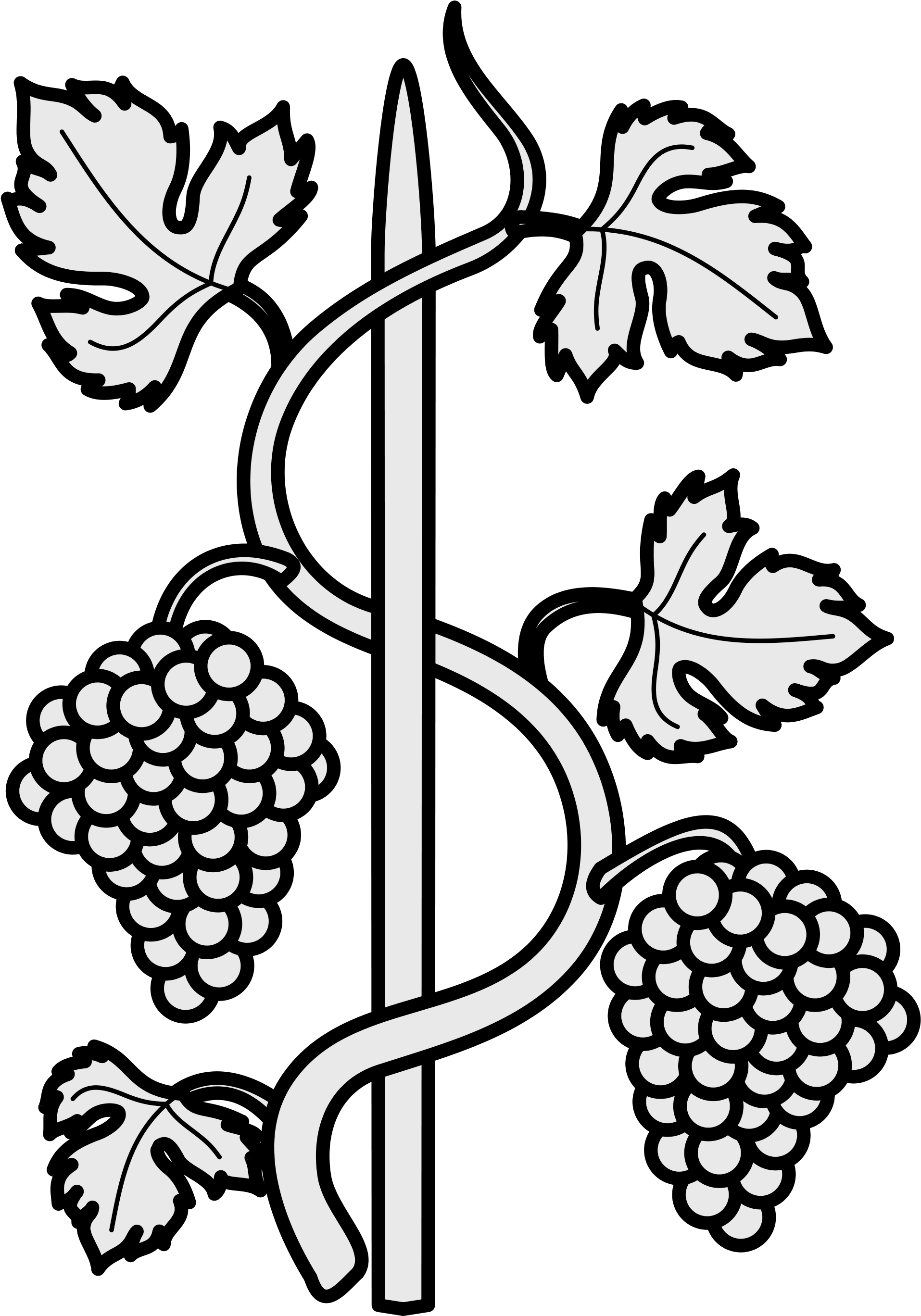 Open - Grape Vine Line Drawing (2000x2830), Png Download