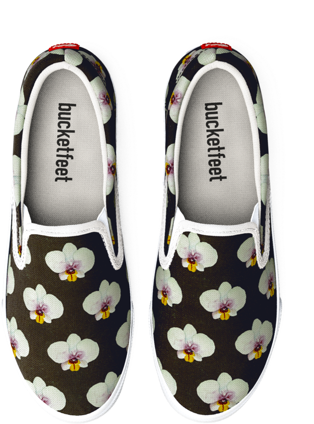 An Orchid Is Born (1024x1024), Png Download