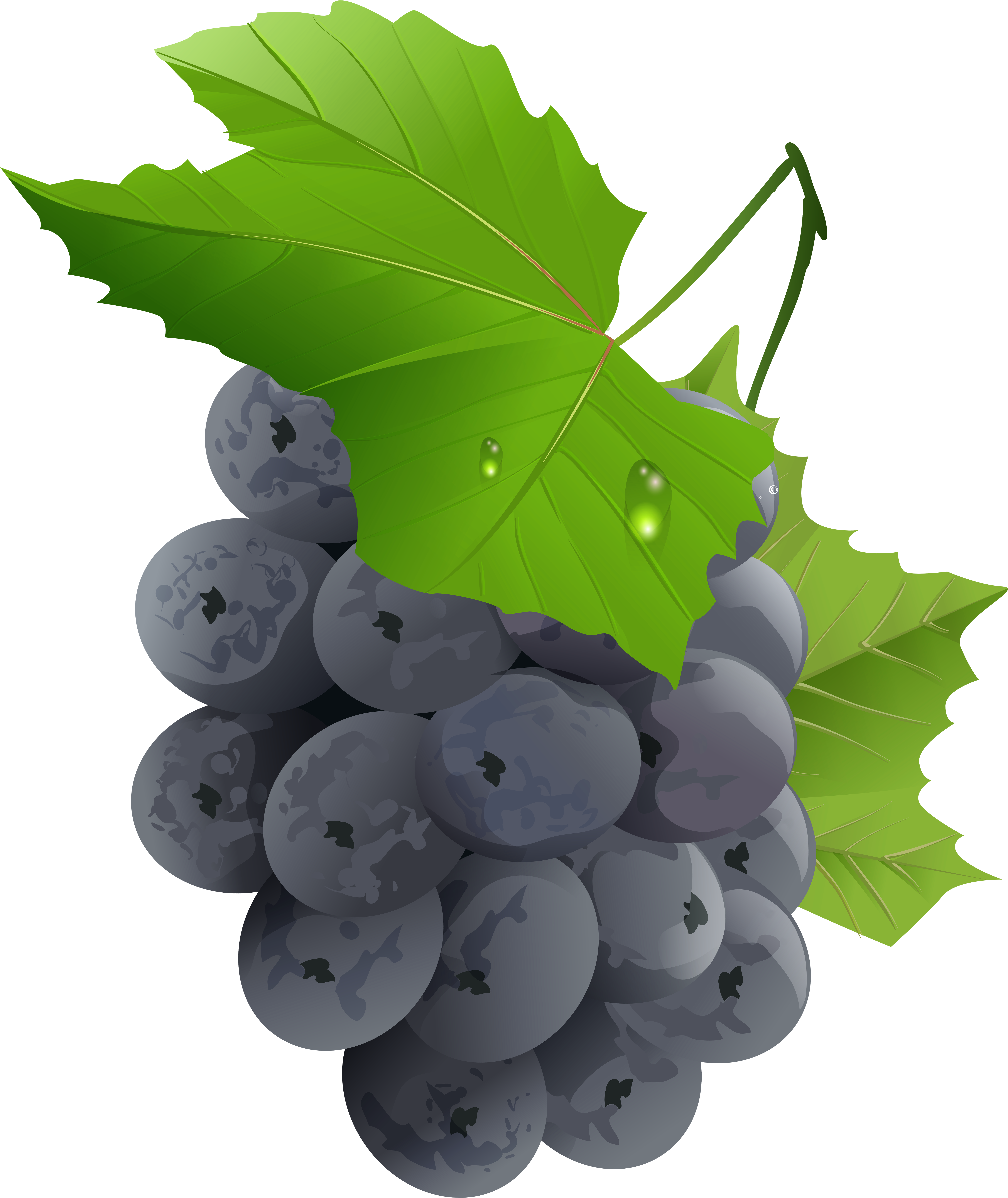 Grapes Transparent Png Clip Art Imageu200b Gallery (6780x8000), Png Download