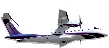 Airplane Flights In Planes With A View Travel Faster - Flight (444x480), Png Download