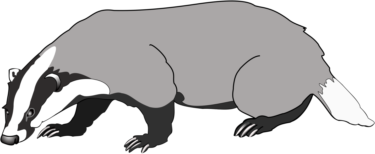 Badger Clipart Png (960x480), Png Download