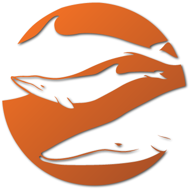 Scotland's Premier Wildlife & Whale Watching Tours - Sealife Surveys (375x376), Png Download