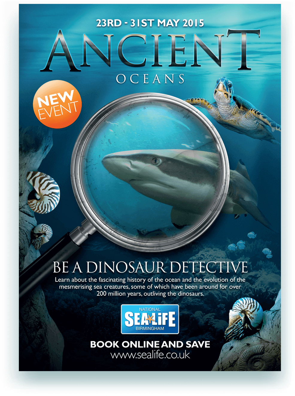 What We Did - Sea Life Centre (1028x1378), Png Download