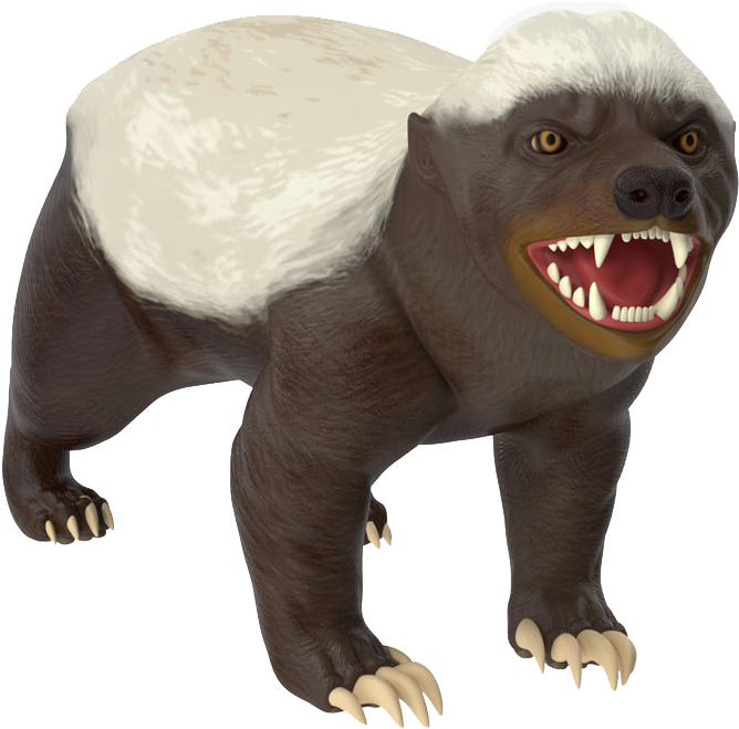 Download Honey Badger Transparent PNG Image with No Background