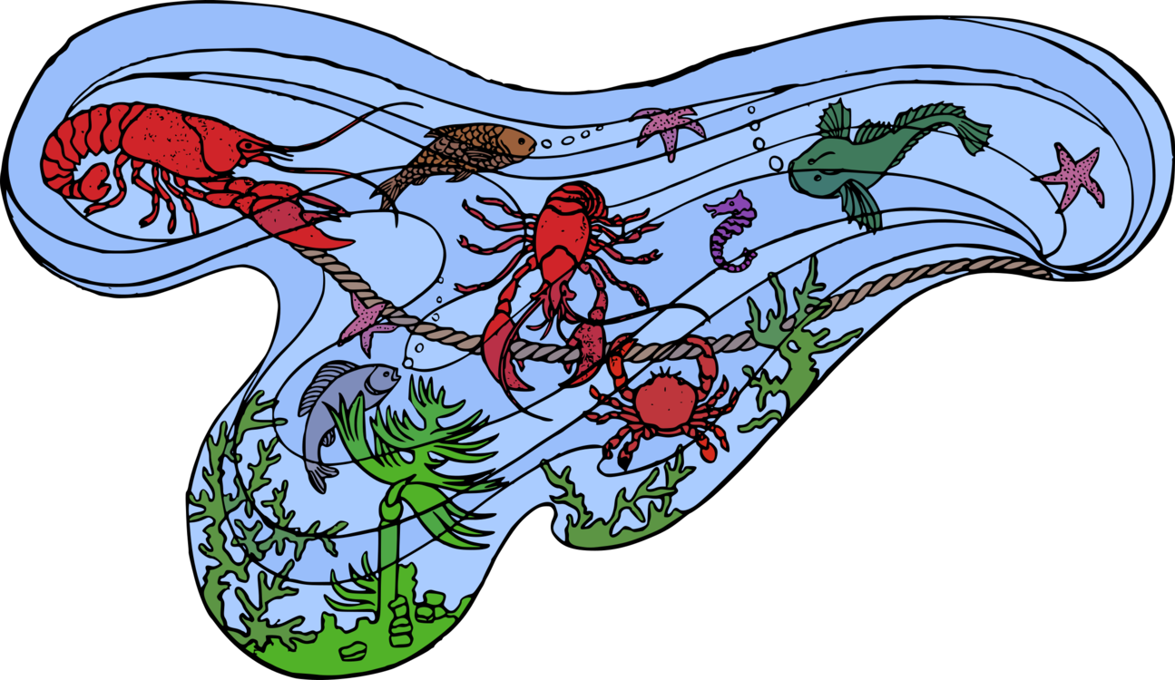 Sea Creatures Marine Life Ocean Animals - Marine Life (1295x750), Png Download