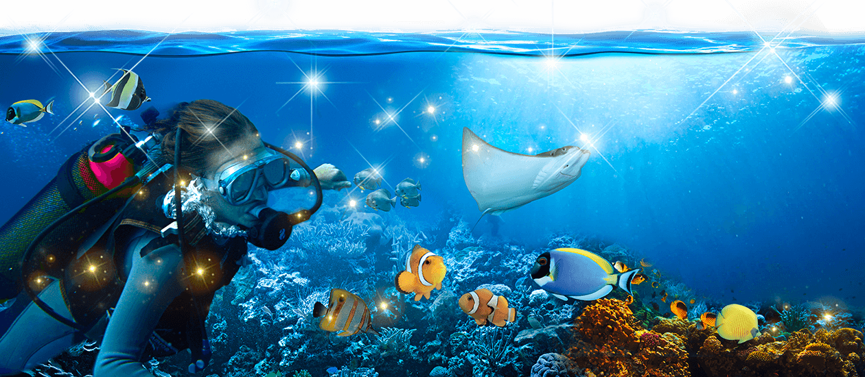 Save Our Seas - Gardaland Sea Life (1260x550), Png Download
