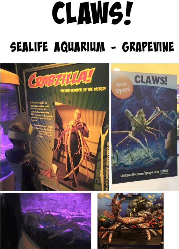 Poster (600x857), Png Download