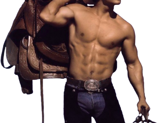 Western-11 - Cow Boy Six Pack (550x412), Png Download