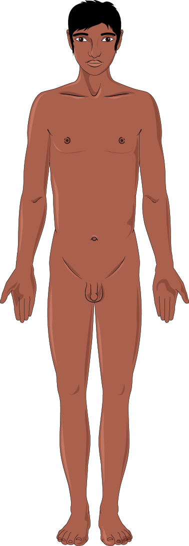 Download The Image - Indian Girl Hd Png (378x1092), Png Download