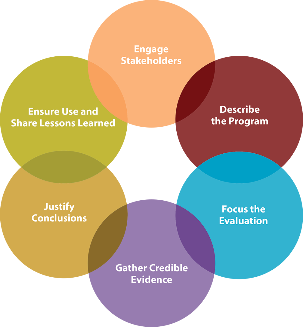 Six Steps Stakeholder Circle (1000x1079), Png Download